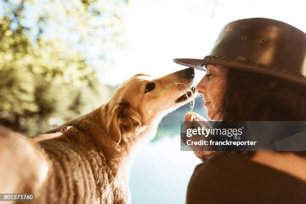 donna che gioca con il cane in montagna - trolese foto e immagini stock