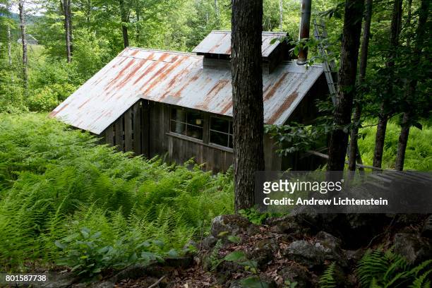 The sugar house where maple syrup is made on a farm of an elderly rural couple on the eastern edge of the White Mountain National Forest on June 22,...