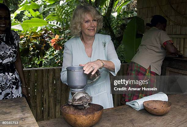 Camilla, Duchess of Cornwall mixes cocoa at the Fondoux Cocoa Plantation on March 7, 2008 in Soufriere, Saint Lucia.