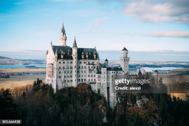 neuschwanstein castle bavaria, germany - castle neuschwanstein stock pictures, royalty-free photos & images