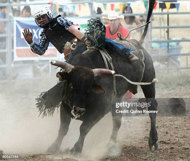 Bull Riding Rodeo Australia 28 Australian Professional Rodeo Association Stock Photos, High-Res ...