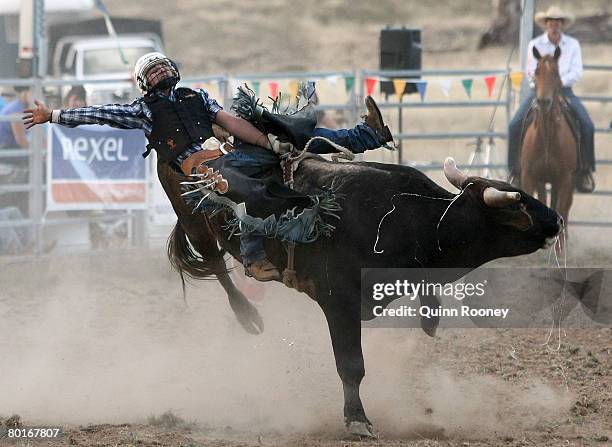 Bull Riding Rodeo Australia 28 Australian Professional Rodeo Association Stock Photos, High-Res ...