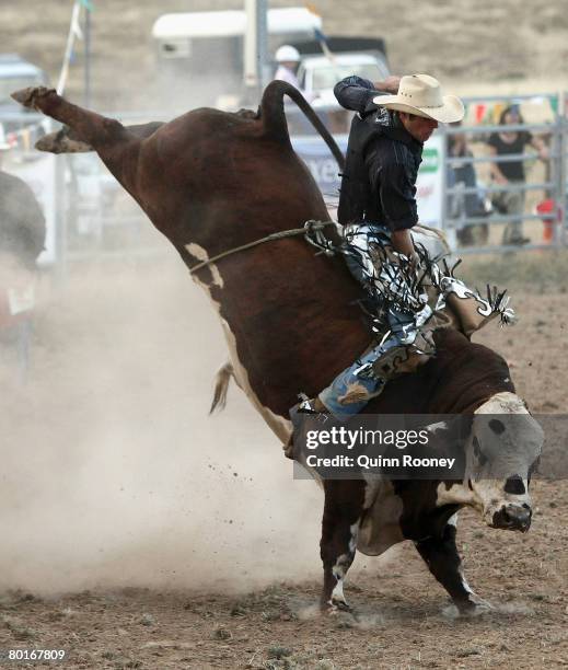 Bull Riding Rodeo Australia 28 Australian Professional Rodeo Association Stock Photos, High-Res ...