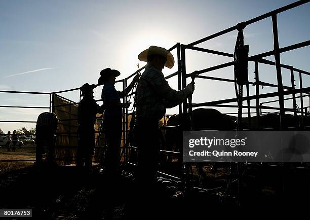2008 Chilicothe Rodeo Chiltern Rodeo Photos and Premium High Res Pictures - Getty Images