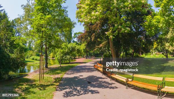 the stadtpark (city park) in vienna, austria - wiener stadtpark stock-fotos und bilder