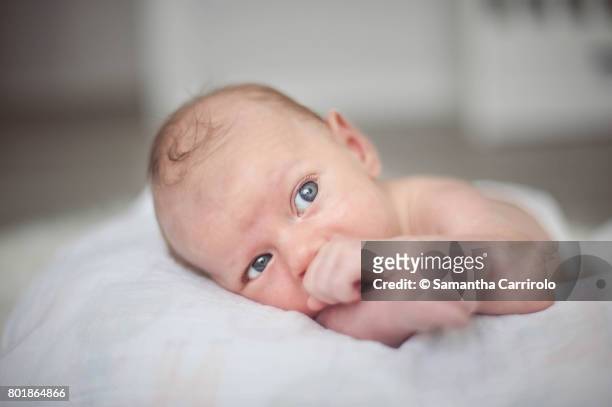 neonato maschio. ritratto. occhi azzurri. - occhi azzurri bildbanksfoton och bilder