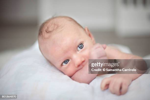 neonato maschio. ritratto. occhi azzurri. - occhi azzurri stock pictures, royalty-free photos & images
