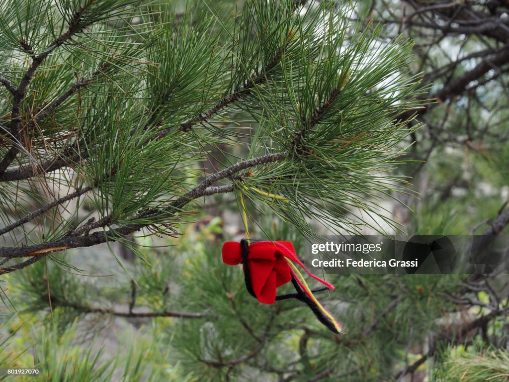 Lakota Native American Offerings at Devils Tower National Monument, Wyoming