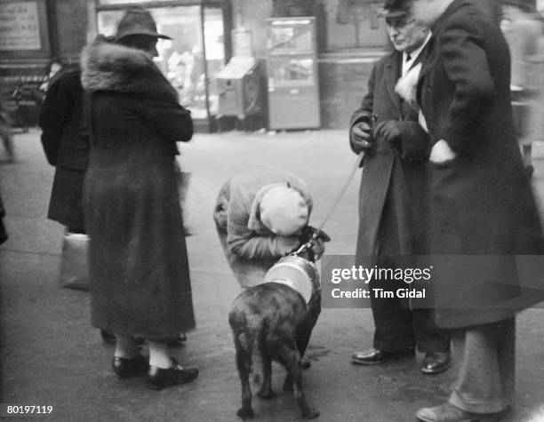 Dog with a charity collecting tin on its back receives a hug from a passer-by at Victoria Station, London, 11th February 1939. Original Publication :...