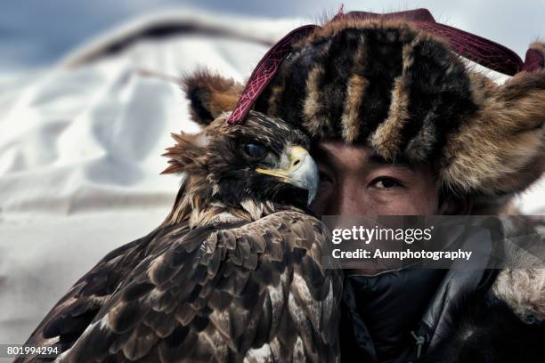 face of eagle hunter, mongolia. - spread wings stock pictures, royalty-free photos & images