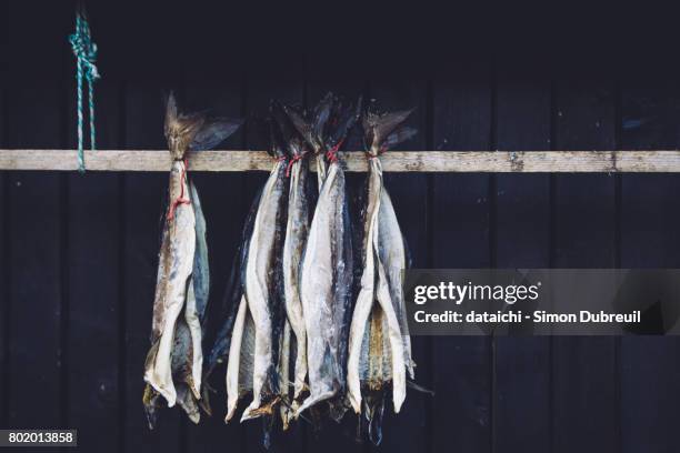 cod drying in gjógv - black cod stock-fotos und bilder