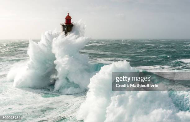 amazing wave on la jument lighthouse - brest brittany stockfoto's en -beelden