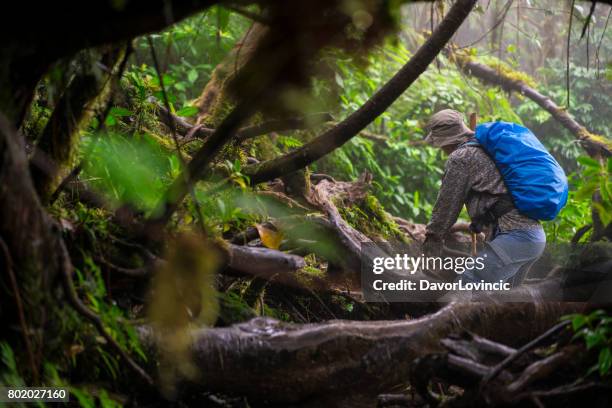 senior woman trekking in cloud forest of on island ometepes volcano madares on lake nicaragua in nicaragua - maddie hill stock pictures, royalty-free photos & images