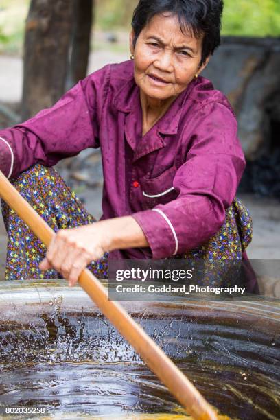 cambodia: sugar palm farm in kampong chhnang - palm sugar stock pictures, royalty-free photos & images