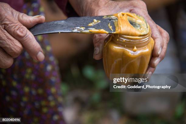 cambodia: sugar palm farm in kampong chhnang - palm sugar stock pictures, royalty-free photos & images