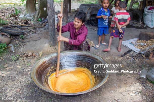 cambodia: sugar palm farm in kampong chhnang - palm sugar stock pictures, royalty-free photos & images