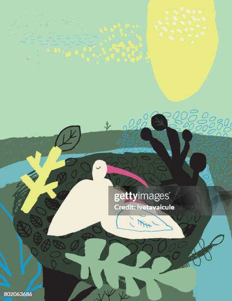 couple of ibis birds nesting - birds nest stock illustrations