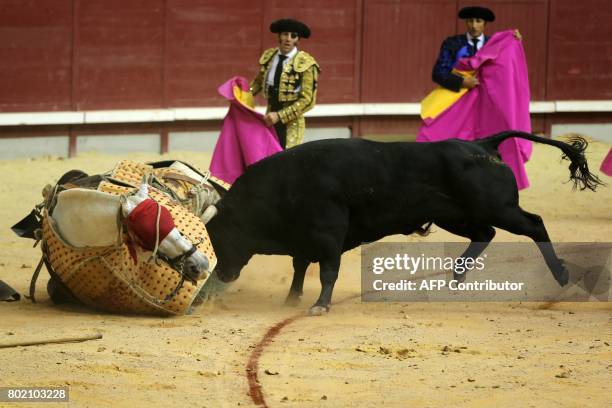 The horse of a picador is hit by a bull during a bullfight at the "Coliseum Burgos" bullring in Burgos on June 27, 2017. / AFP PHOTO / CESAR MANSO