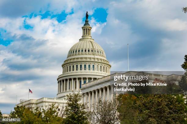 us capitol over the trees - capitol hill stock pictures, royalty-free photos & images