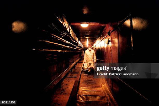 In the rooms damaged by the explosion inside the shelter, debris has been pushed aside to make passages, like this corridor which leads to the lower...