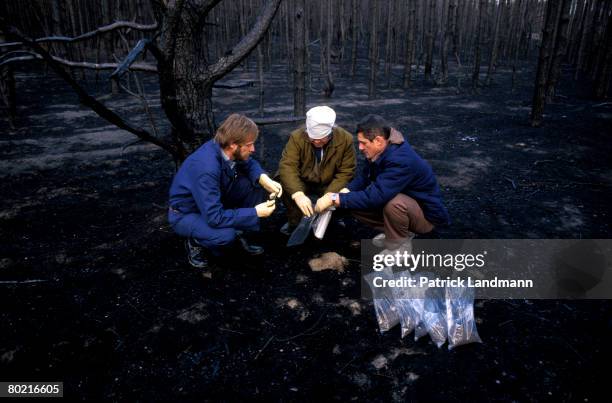 Scientists are taking soil samples to check the level contamination, on June 1, 1998 in Chernobyl, Ukraine. After the most critical forest wildfire...