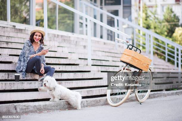 happy brunette girl in cute hat taking cute maltese canine out for a walk - maltese dog stock pictures, royalty-free photos & images