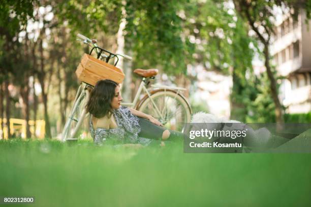 relaxing on picnic day with cute canine - maltese dog stock pictures, royalty-free photos & images