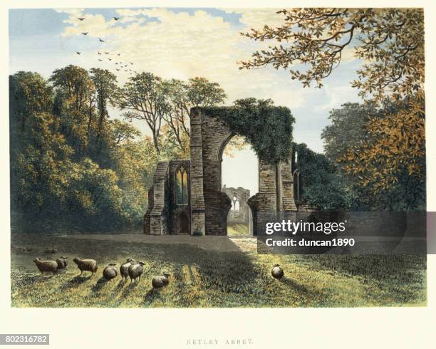 ilustraciones, imágenes clip art, dibujos animados e iconos de stock de abadía de netley, hampshire, inglaterra, siglo xix - abadía