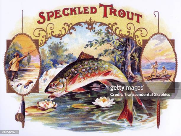 Cigar box label illustration entitled 'Speckled Trout' depicts said fish as it jumps from an idyllic river, a hook in its mouth, late 1800s or early...