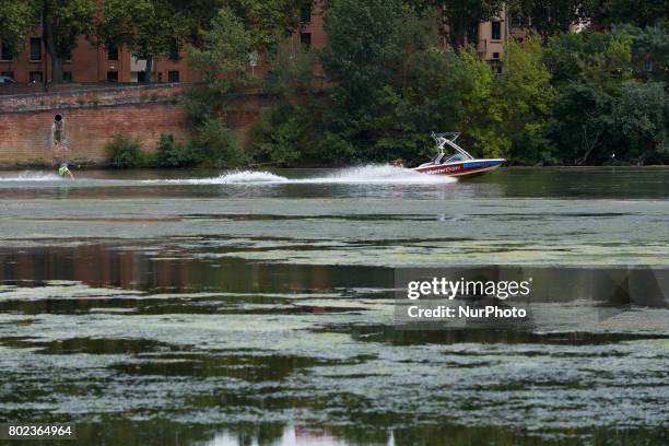 Man practices water skiing in the Garonne river. Due to warm weather, low waters and intensive use of fertilizers by farmers, the Garonne river is...