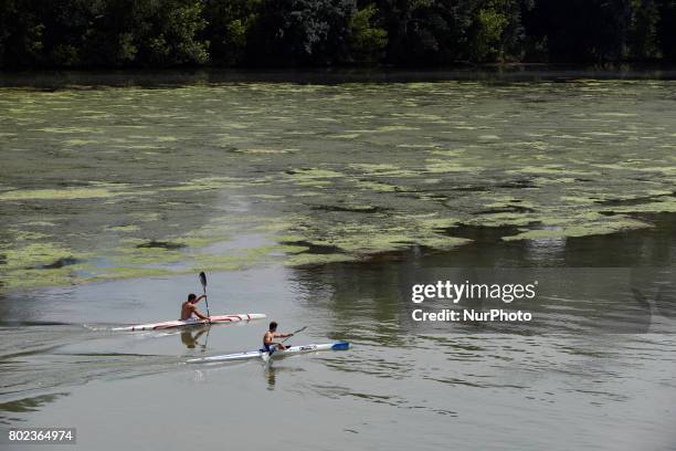 Two men practice canoe in the eutrophicated Garonne river. Due to warm weather, low waters and intensive use of fertilizers by farmers, the Garonne...
