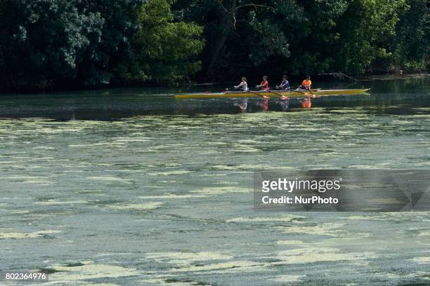 People practice canoe in the eutrophicated river Garonne. Due to warm weather, low waters and intensive use of fertilizers by farmers, the Garonne...