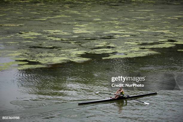 Woman practices canoe in the eutrophicated Garonne river. Due to warm weather, low waters and intensive use of fertilizers by farmers, the Garonne...