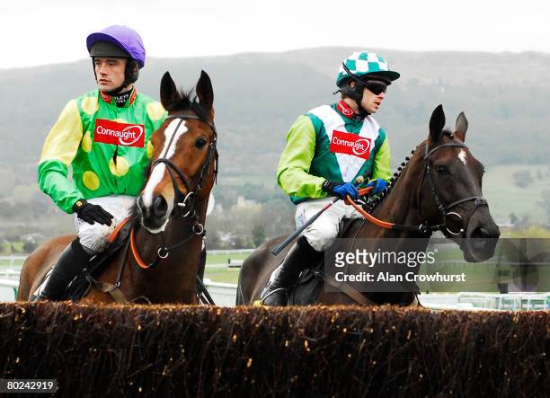 Kauto Star and Ruby Walsh with Denman and Sam Thomas looking at the first fence before the start of The totesport Cheltenham Gold Cup Chase at...