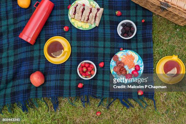 summer picnic spread on blanket with jam sandwiches, fruit and tea - picnic basket stock pictures, royalty-free photos & images