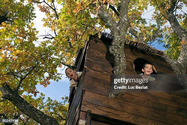 kids playing in a tree house. - kids fort stock pictures, royalty-free photos & images