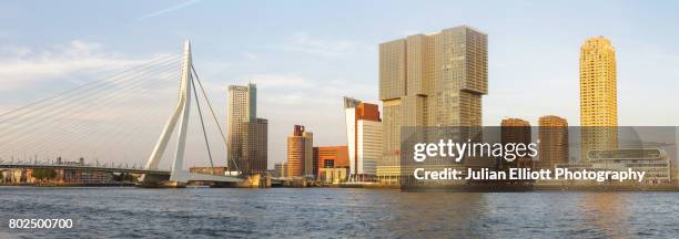 the erasmusbrug and modern architecture in rotterdam. - erasmusbrug stock pictures, royalty-free photos & images