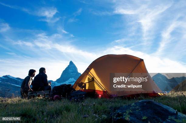 border-collie camping - zelt stock-fotos und bilder