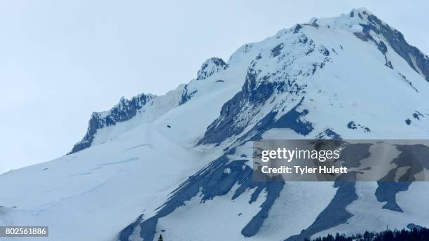 summit of icy snowy cold frozen mountain  mt. hood spring forest oregon cascade mountains - pacific crest trail fotografías e imágenes de stock