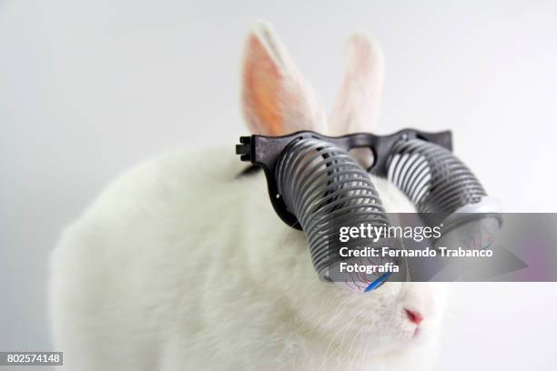 rabbit with glasses and bulging eyes - rabbit fever stock pictures, royalty-free photos & images