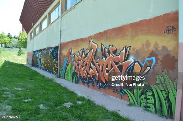 Graffiti adorns the walls of a high school in Ankara, Turkey on June 28, 2017. Most of designs belong to the 'Needmorecans' crew, who are famously...