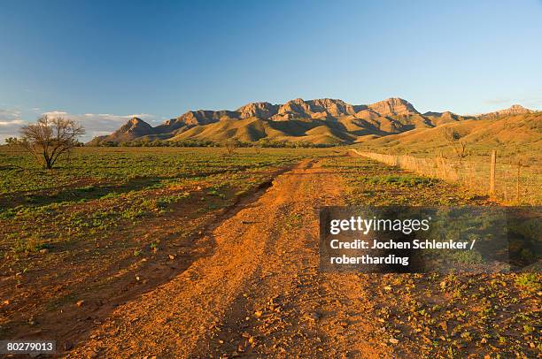 Flinderrs Ranges 40 Flinders Ranges Way Stock Photos, High-Res Pictures, and Images ...