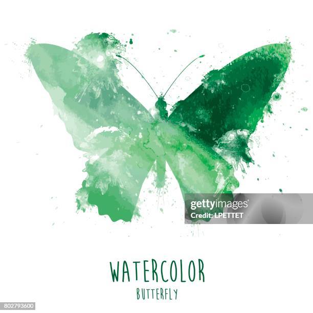 aquarell schmetterling - illustration - butterfly effect stock-grafiken, -clipart, -cartoons und -symbole