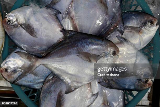 silver pomfrets in the seafood market - upperdeck view stock pictures, royalty-free photos & images