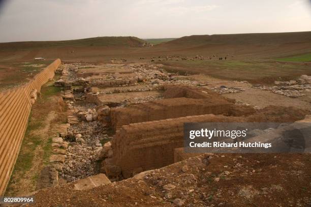 ebla was an ancient city southwest of aleppo. - ebla civilization stock pictures, royalty-free photos & images