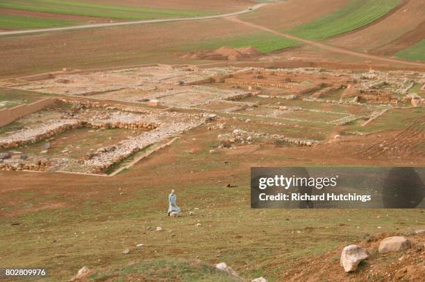 ebla was an ancient city southwest of aleppo. - ebla civilization stock pictures, royalty-free photos & images