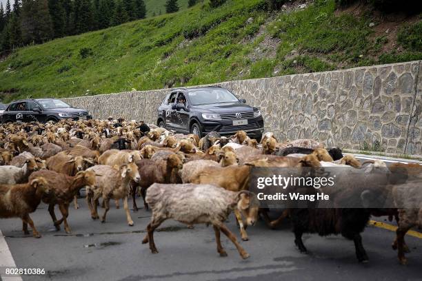 Vehicles avoid a herd of sheep on the Duku highway on June 28.017 in Xinjiang Uygur Autonomous Region, China. The Duku highway from Dushanzi to Kuche...