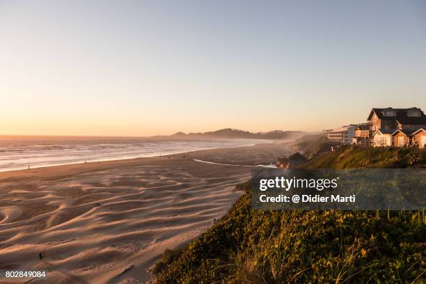 sunset over newport and the pacific ocean, oregon, usa - coastline bildbanksfoton och bilder