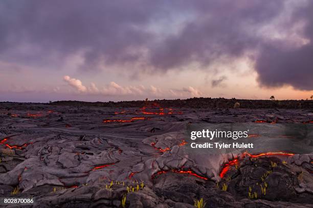 finger of lava approaches plants - puu oo vent fotografías e imágenes de stock