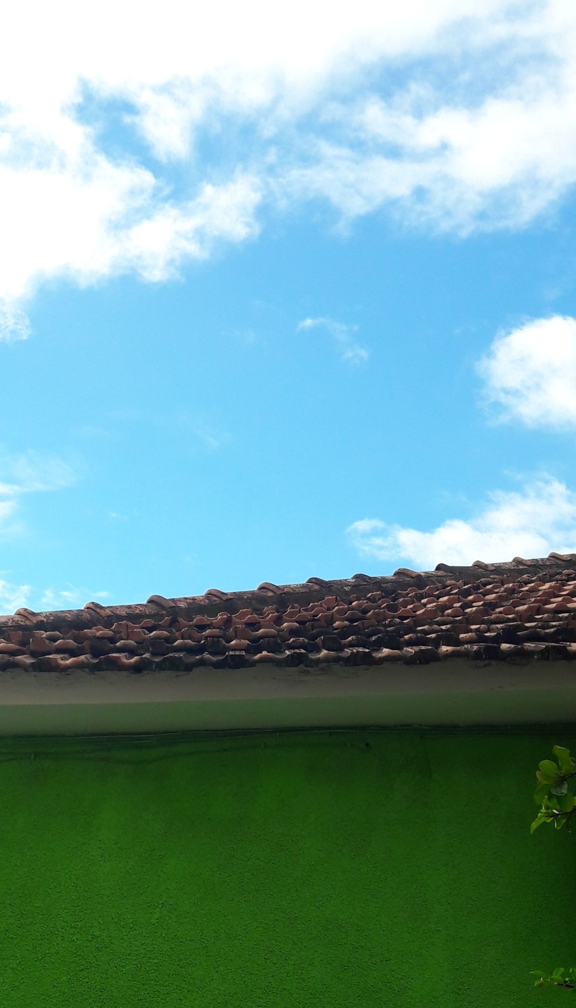 telhado danos